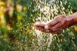 Close-up of water splashing into a person's cupped hand against a blurred green background.