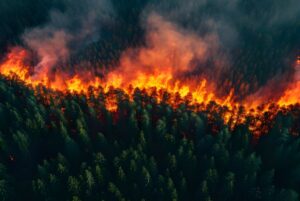 Aerial view of a wildfire burning through a dense evergreen forest with thick smoke rising from the orange flames.