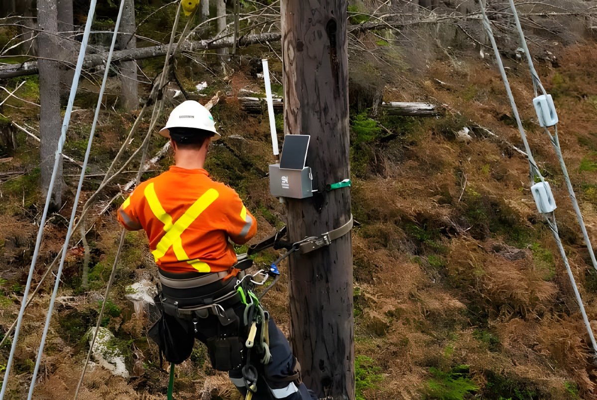 A technician in high-visibility gear installs a SenseNet wildfire detection sensor on a wooden utility pole in a forest.