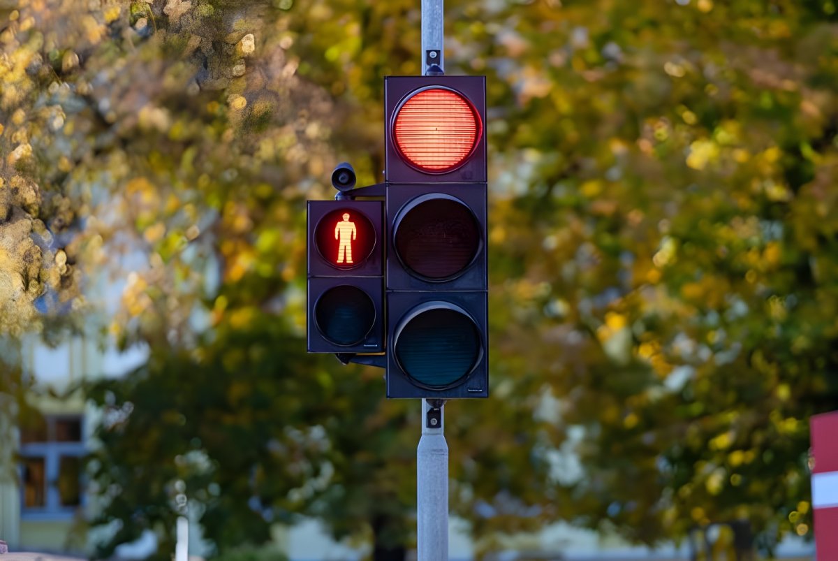 Red traffic light and red pedestrian signal on a metal pole with blurred autumn trees in the background.